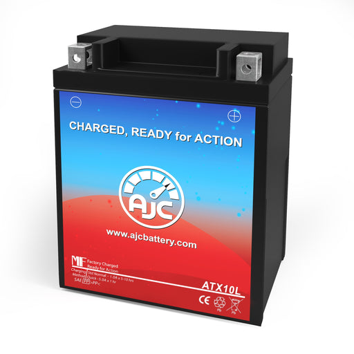 AJC Battery Compatible with Yamaha XV250 Virago S 250CC Motorcycle Battery (1989)