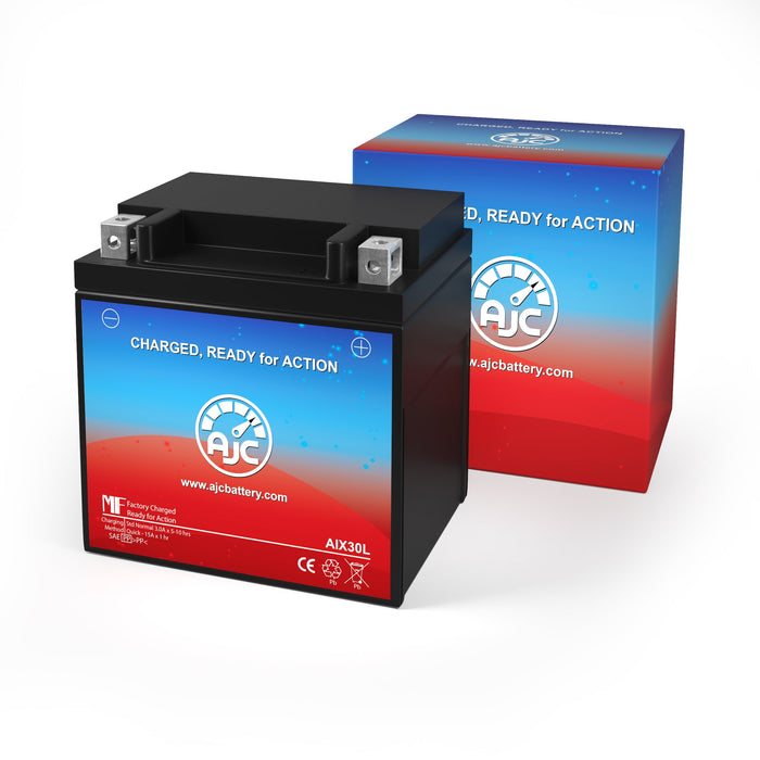 Bright Way Group YTX30L-BS Motorcycle Replacement Battery