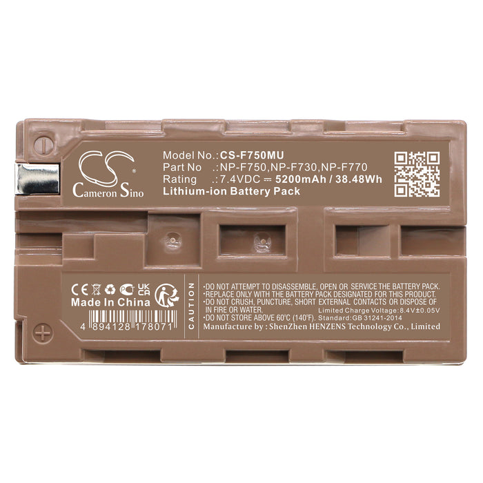 Panasonic DS-1 DS-100 DS-5 DX-1 NL-DL1 NV-DE1 NV-DE3 NV-DL1 NV-DP1 NV-DR1 NV-DS100 NV-DS1EG NV-DS5EG NV-DX1 NV-DX10 5200mAh Camera Replacement Battery